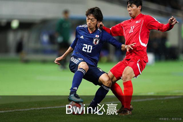Bwin必赢公司介绍图